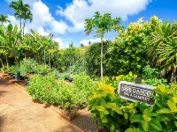 1 Bedroom Ocean View Condo F308 - Pono Kai Hotéis em Kapaa
