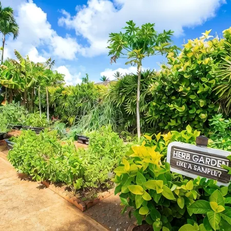 1 Bedroom Ocean View Condo F308 - Pono Kai
