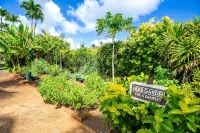 1 Bedroom Ocean View Condo F308 - Pono Kai