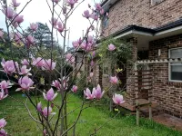 Relax close to city,a studio 10 mins from the beaches and Westfield shopping C. Hotels in Miranda