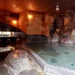 Breezbay Shuzenji Hotel - suối nước nóng