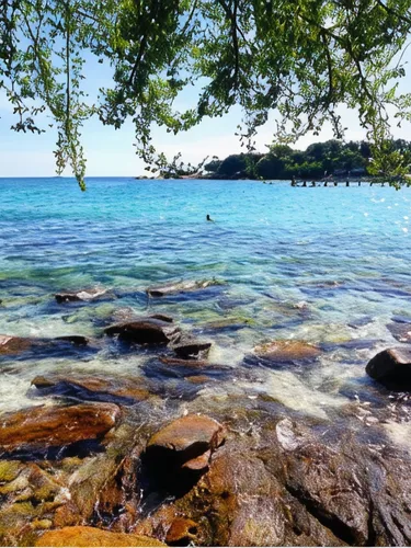รูปภาพของเสม็ดเบลล์เฮาส์