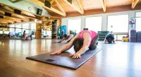 Topnotch Resort - Gym