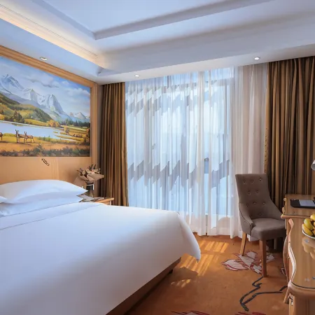 Vienna Hotel (Jixi High-speed Railway Station)