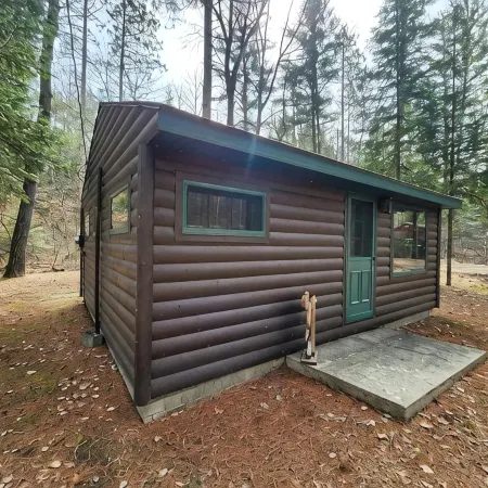 Cozy cabin with backyard stream close to Au Sable River and the best ATV trails