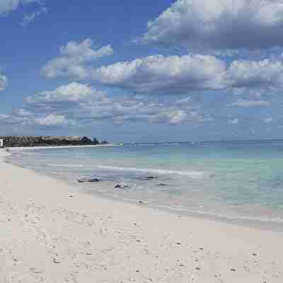 Gorgeous Condo on Beach Front Mareazul Development. Amazing Amenities and Views Fitness & Recreational Facilities