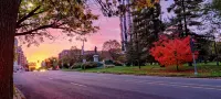 Historic 3-Bedroom Guest Suite · Prime Forest Park Location in Central West End - Condos