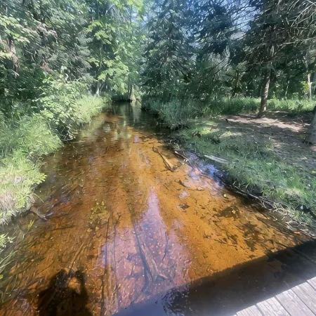 Peaceful Hideaway! New Listing