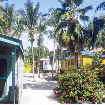 Gumbo Limbo - Seabreeze Apartment - Steps to the Ocean, Free Bikes, Free WiFi Others