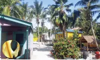 Gumbo Limbo - Seabreeze Apartment - Steps to the Ocean, Free Bikes, Free WiFi - Apartments
