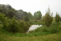 Woody Mamaku Retreat .  Eco stay close to  sea and nature. - 3-Star