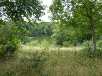 Idyllic location on the Wennsee and 10 min walk to the beach with beautiful garden.