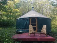 Fiddlehead Farm Yurt - Homestays