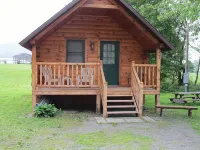 Rivers Edge of the West Branch Delaware River w Private Boat Launch Hotels in Deposit