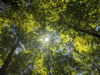 Hocking Hills,Cozy Secluded Cabin,Minutes to Caves/WiFi/Pet Friendly!