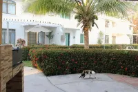 Casa Coral Hotels in 