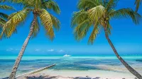 Stunning beachfront condo next to restaurant & a short drive to famous RumPoint