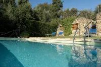 Farmhouse in the greenery of the Tuscany countryside with private pool and view - Homestays
