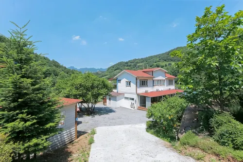 Jecheon Oksunbong Pension - Cho phép mang theo thú cưng