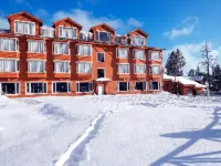 Grand Mumtaz Gulmarg Hotels in Gulmarg
