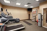 Homewood Suites by Hilton-北拉雷多購物中心 - 健身室/gym room