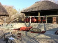 Thulani Game Lodge and Eco Estate