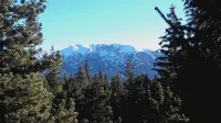 Large T4 apartment at the bottom of a chalet, close to the Pyrénées 2000 ski slopes - Hytter