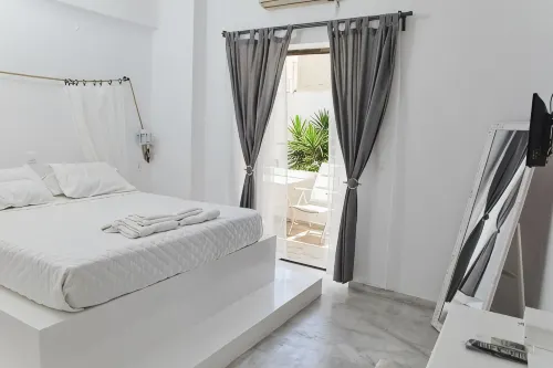 Golden Star Praxitelous - Pet friendly