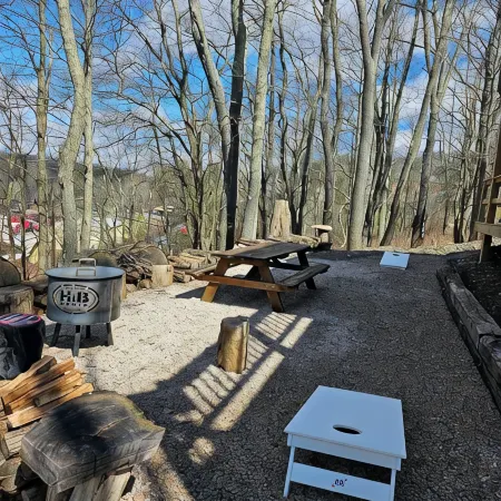 The Fox Den, 2 bdrm, walk to Purple Fiddle, near Canaan, Davis, Blackwater Falls