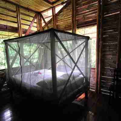 Casa Piña,  Bamboo Rainforest Beach House Rooms