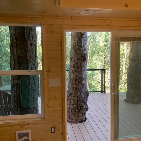 Yeti's Tree House: Where Dreams Come True