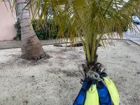 Kaibo Yacht Club Beach Front, Phase 2. Hotels in Rum Point
