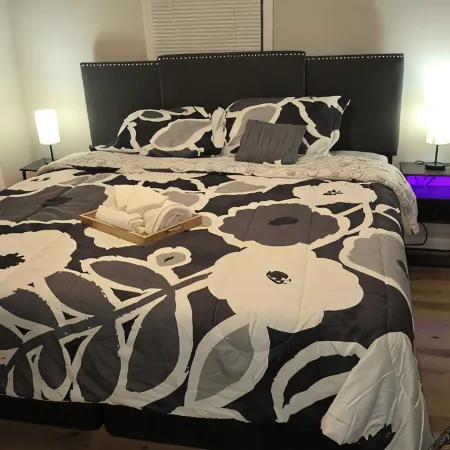 Carriage House by CMU - Lower Condo - Kitchen, King Bed, 70" TV Fast WiFi & AC Hotels in Howard County