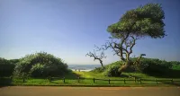 4 Dolphin Views la Mercy Luxury Beachfront Apartment with Private Swimming Pool - Wifi
