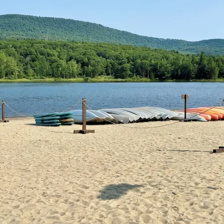 Catskill Ski Hike Lake Pet Main St Pool