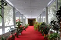 貝爾韋德酒店 - SPA