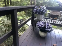 Private Annex/Former Artist Studio - 4-Star
