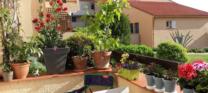 exceptional view of the sea terrace not overlooked sunny and quiet Hotels in Collioure