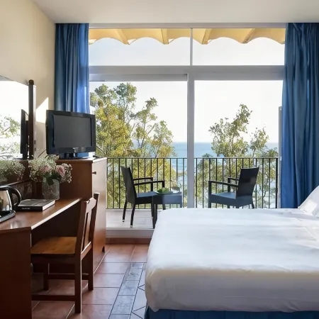 Hotel Roses Platja