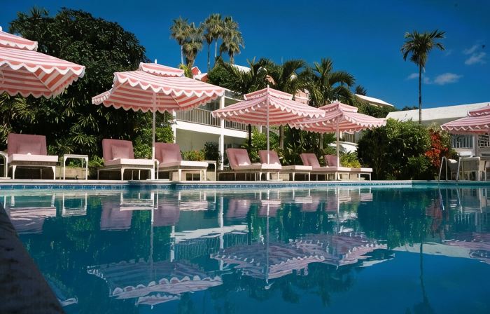 Rosedon - Adults Only