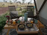 Salterra Glamping - Homestays