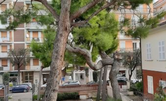 Hotel Chiaraluna