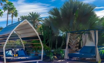 AxelBeach Maspalomas - Apartments and Lounge Club - Adults Only