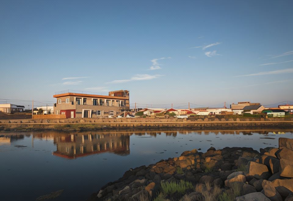 플라이진하우스