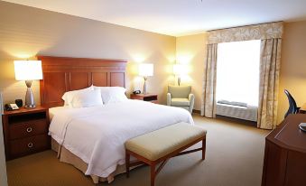 Hampton Inn Detroit/Auburn Hills-North (Great Lakes Crossing Area)