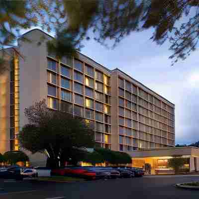 Marriott Jacksonville Hotel Exterior