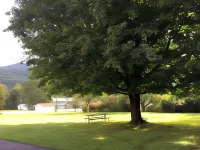 Cardinal Inn Hotels in Haywood County