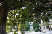 Hôtel la Casa Pairal Hotels in Collioure