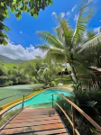 Oasis the Traveler - piscine