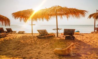 Surfers Lounge Dahab Lagoon with Swimming-Pool exclusive & private